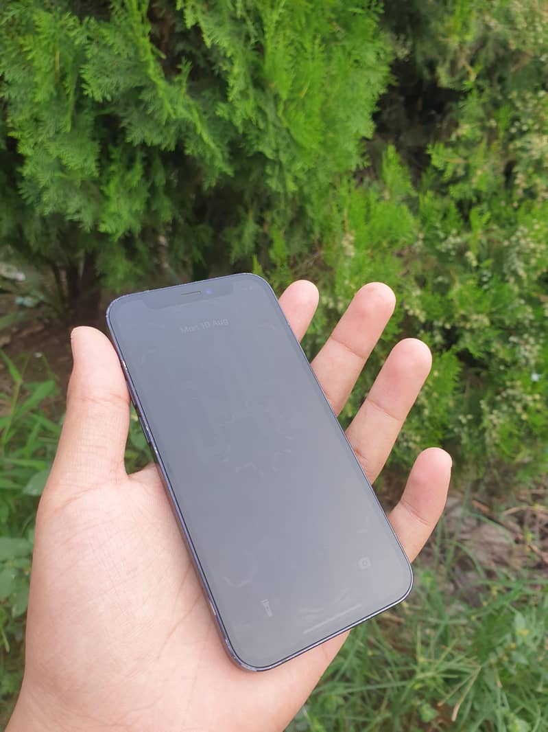 Apple iPhone 12 mini 1