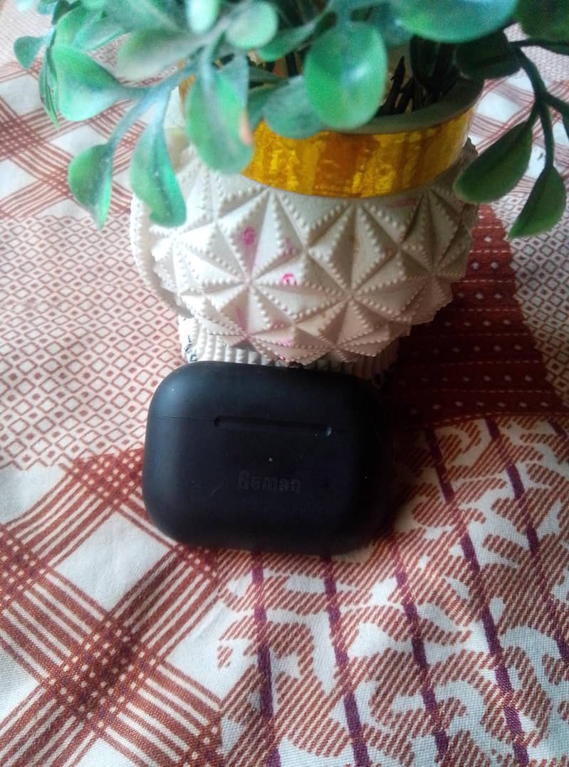 ear buds 0