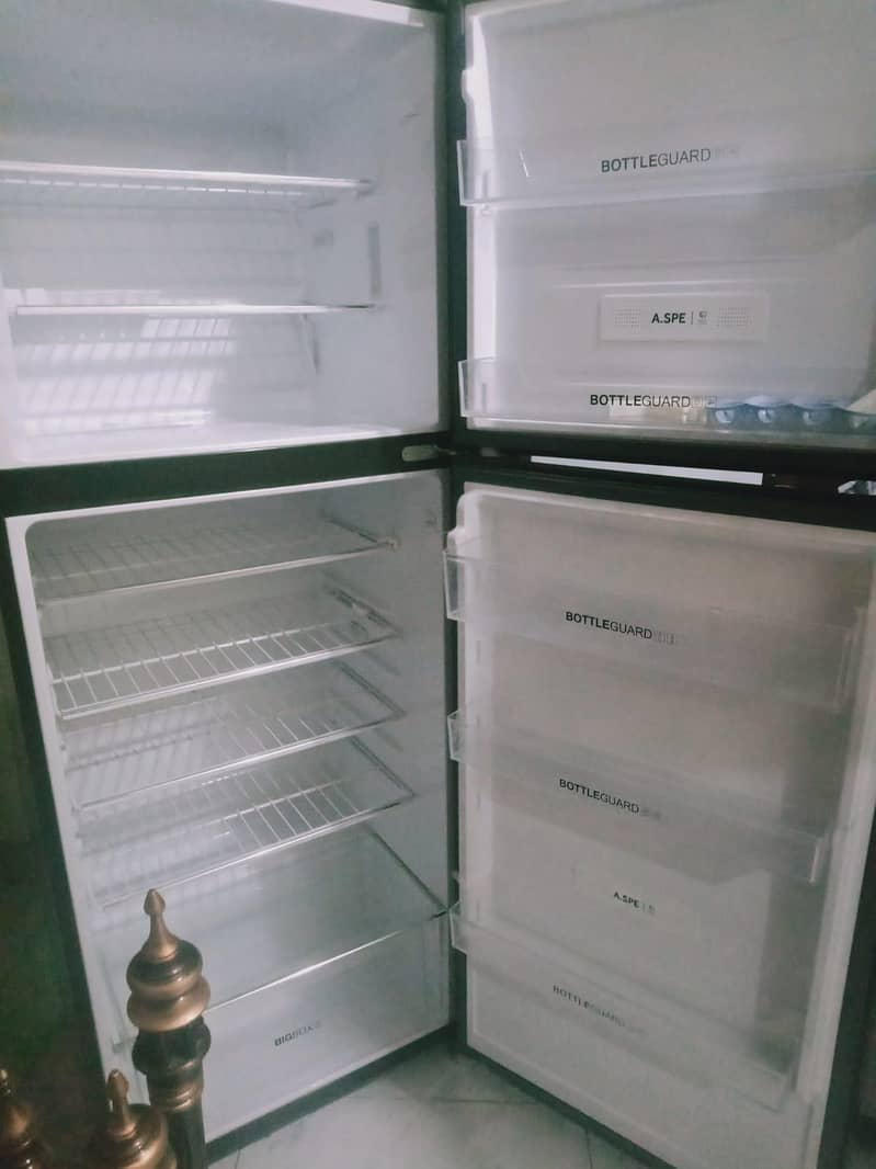 New fridge 1