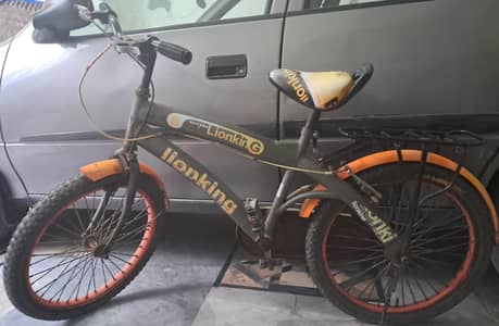 Bicycle Medium Size