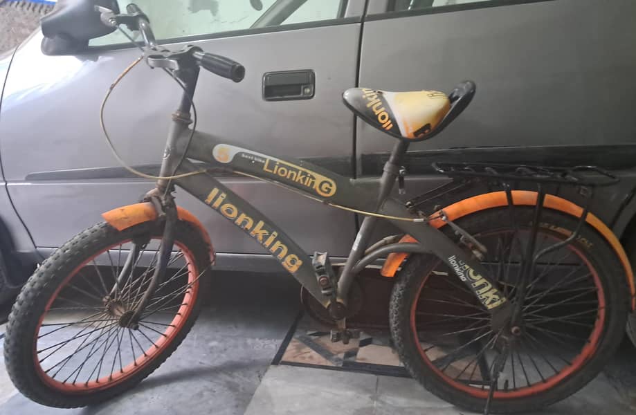Bicycle Medium Size 0