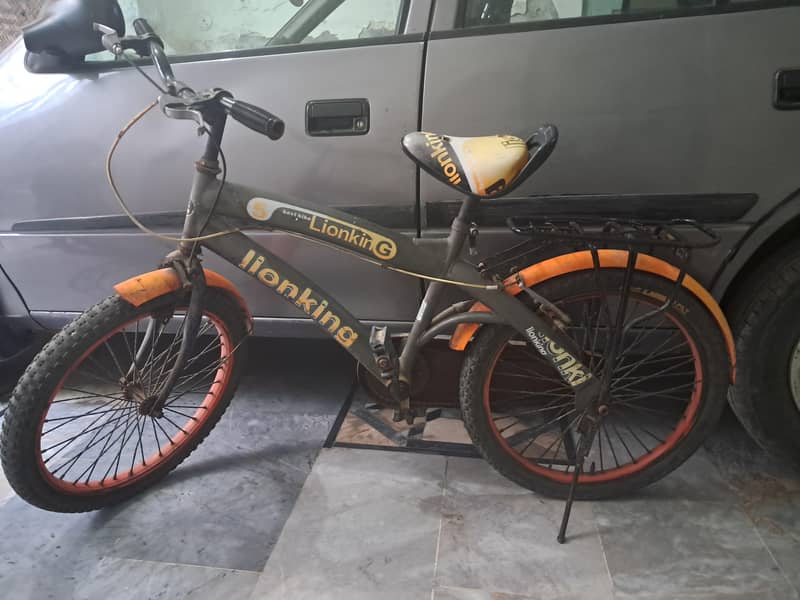 Bicycle Medium Size 1