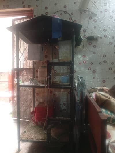 bird cage
