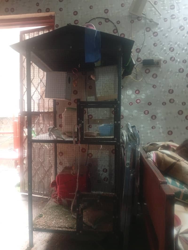 bird cage 0