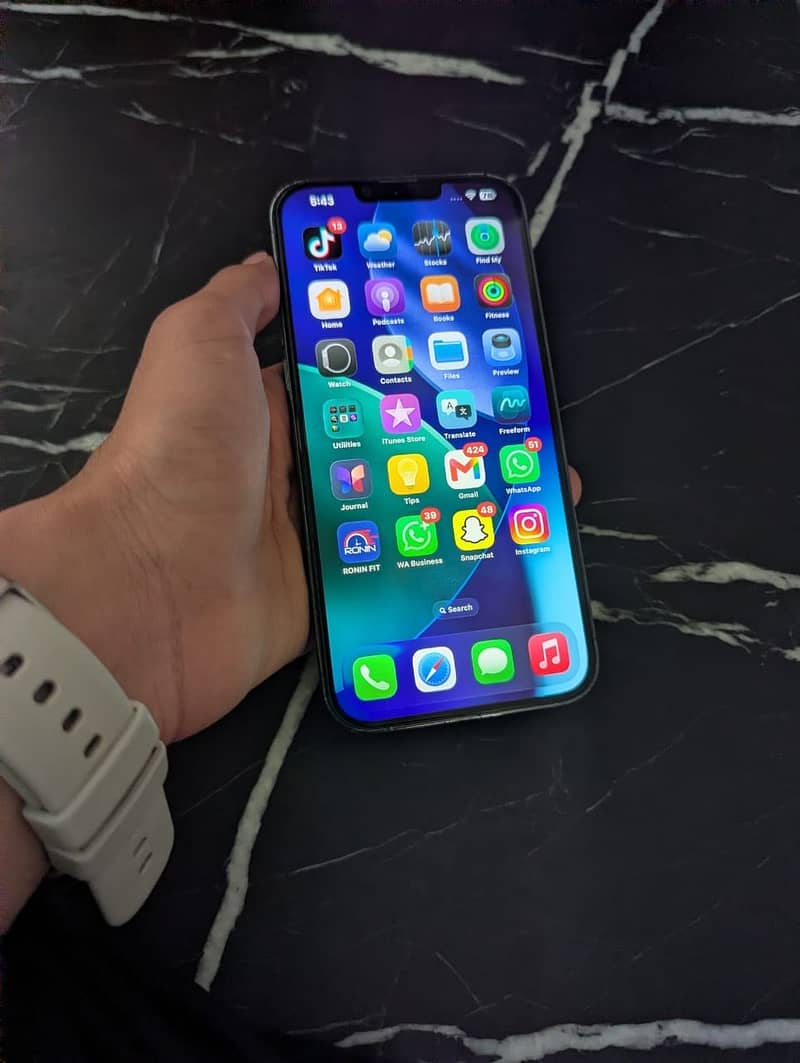 Apple iPhone 13 Pro Max 1