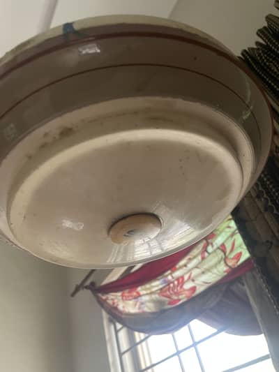 Fan for sale