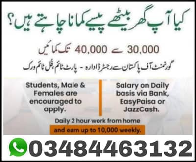 Work From Home Jobs in Pakistan | Daily Income Opportunity