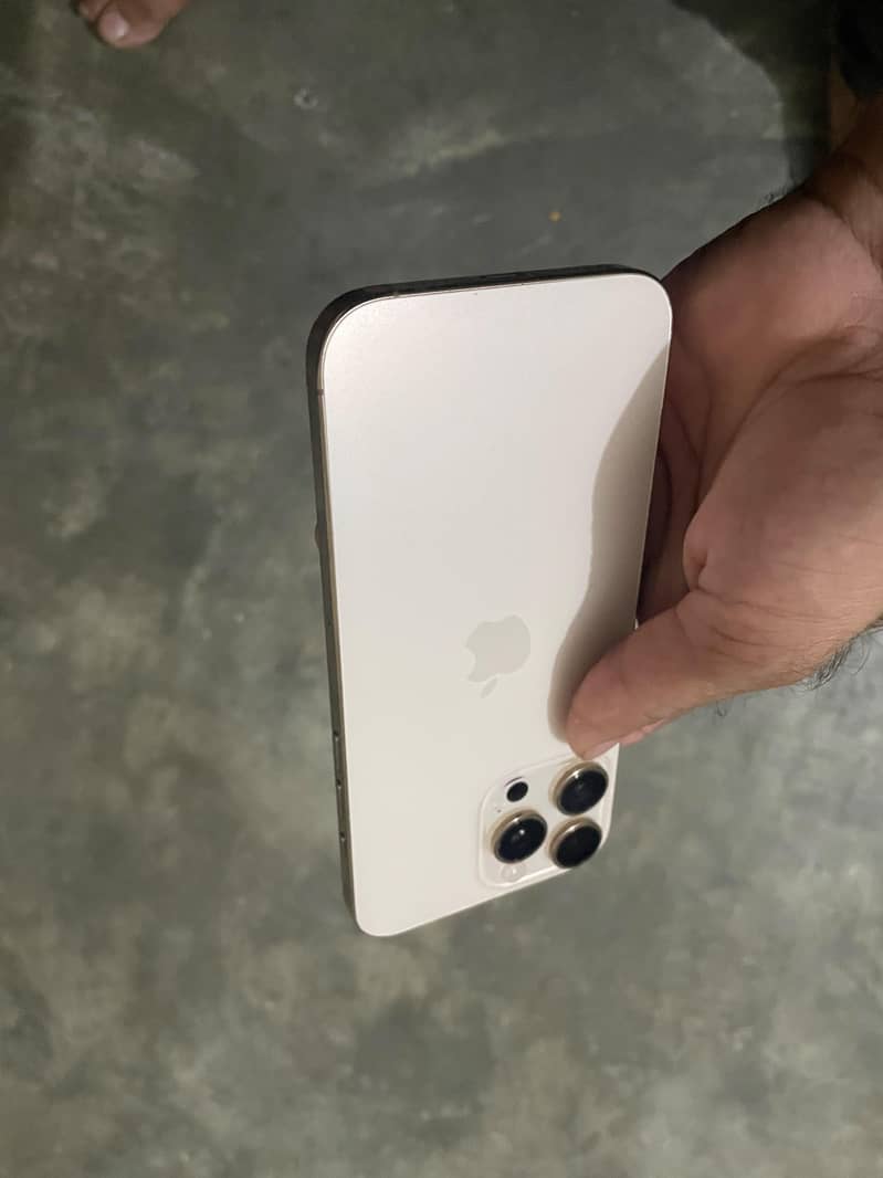 Apple iPhone 16 Pro Max 2