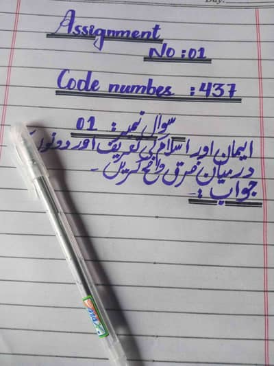 Malik Amin
