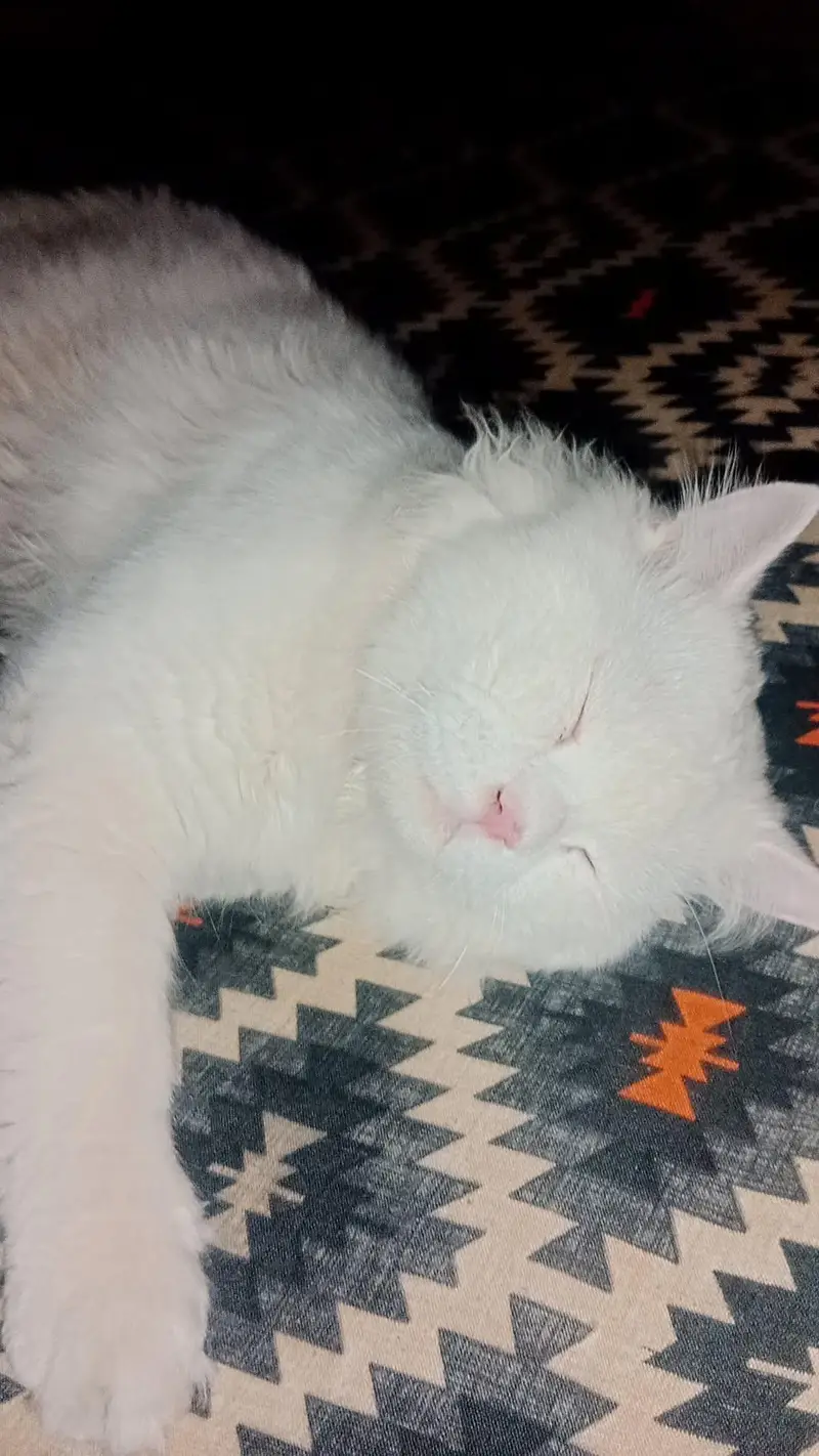 cute male — photo 2