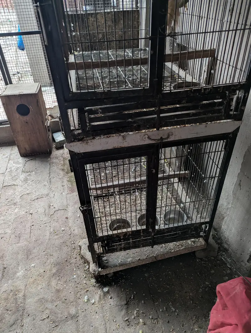 cage for sale heavy cage h 8 number wire lagy h 3 cage h — photo 2
