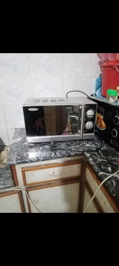 Microwave Oven Waves