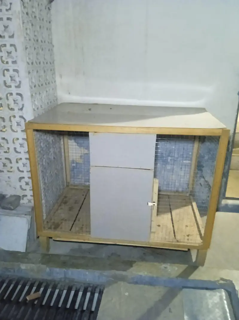 Wooden Cage لکڑی کا پنجرہ — photo 2