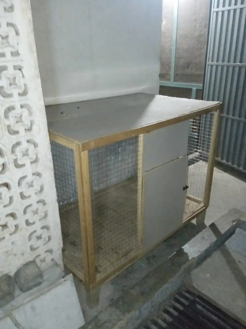 Wooden Cage لکڑی کا پنجرہ — photo 3