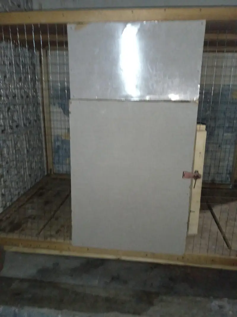 Wooden Cage لکڑی کا پنجرہ — photo 4