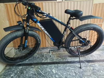Fat bike with ekit