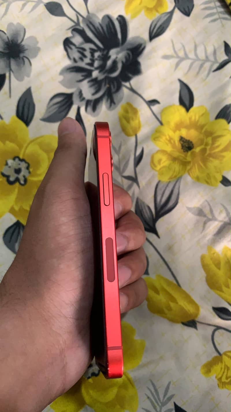 Apple iPhone 12 mini 1