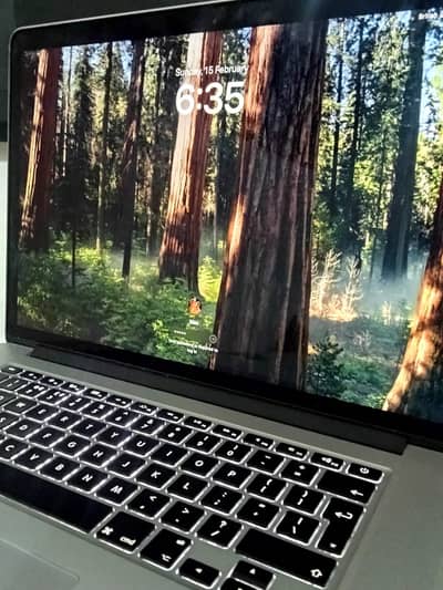 Apple MacBook Pro 15" (Mid 2015) - Core i7, 16GB RAM, 500GB SSD