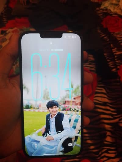 Apple iPhone 13 Pro Max