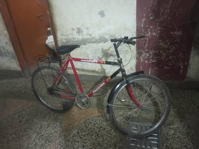bicycle in full size