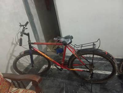 phoenix bicycle