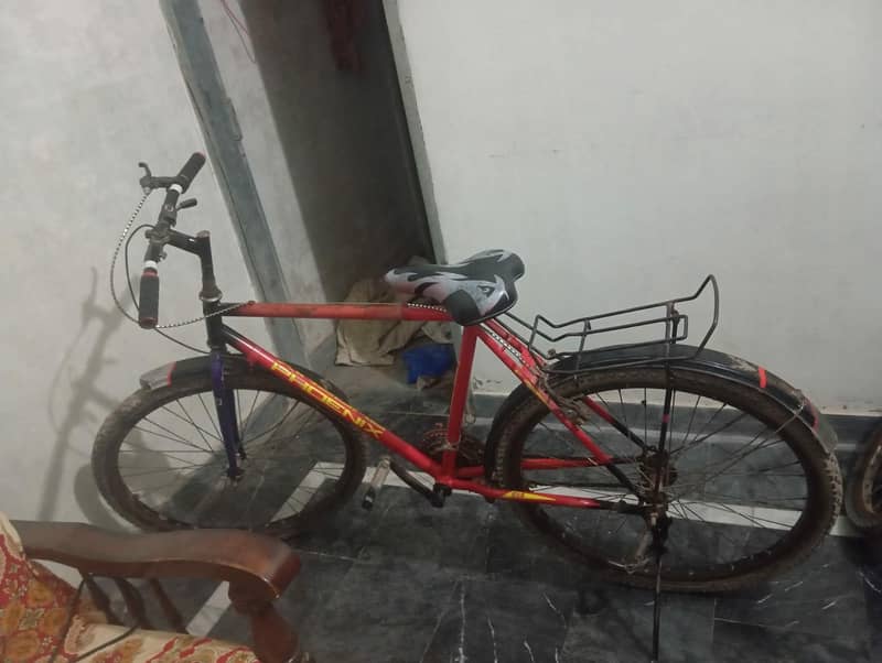 phoenix bicycle 0