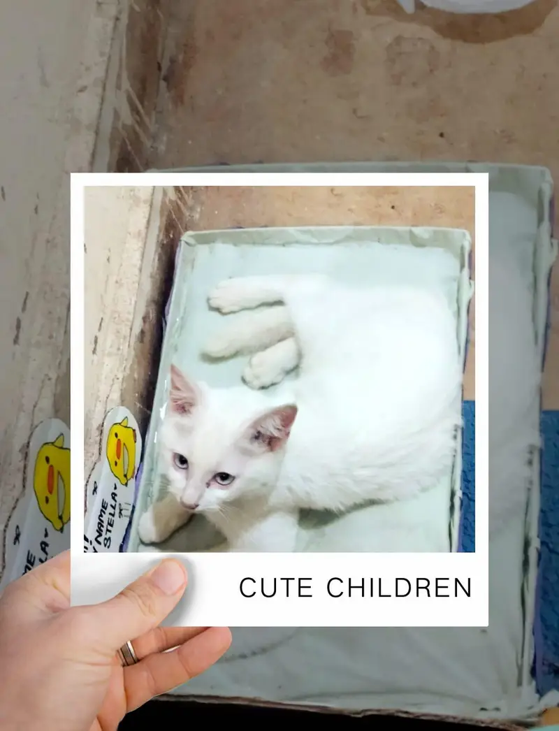 white with coloured eyes — photo 3