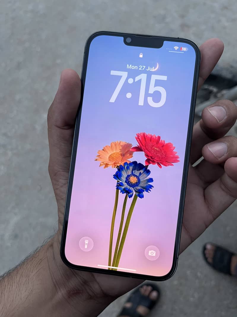 Apple iPhone 13 Pro Max 1