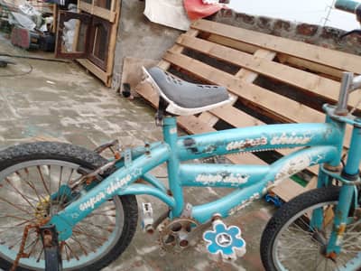 16 size ki cycle.