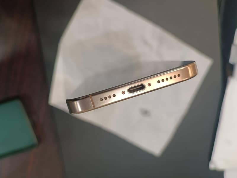 Apple iPhone 16 Pro Max 5