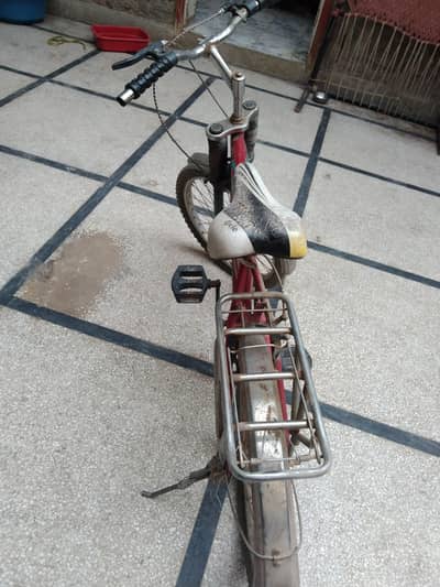 cycle