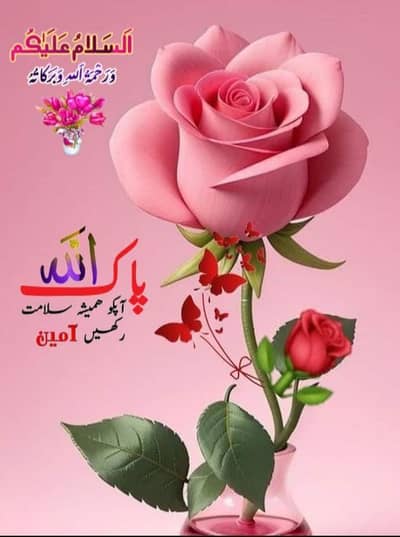 bilkul ok hy