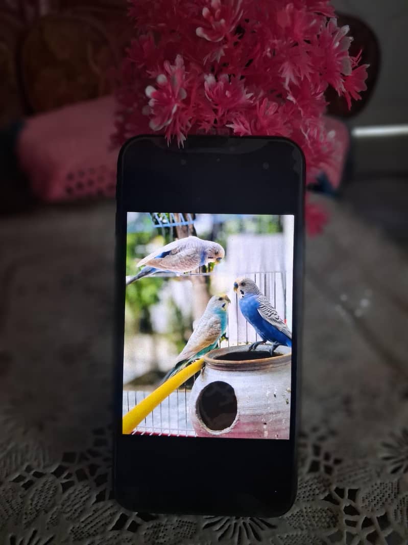 Apple iPhone X 1