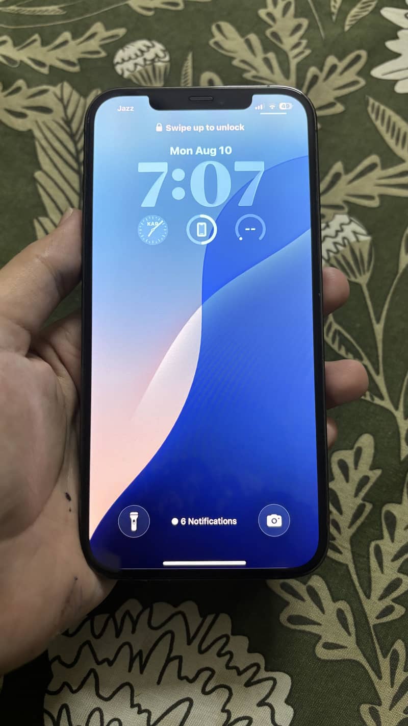 Apple iPhone 12 Pro Max 1