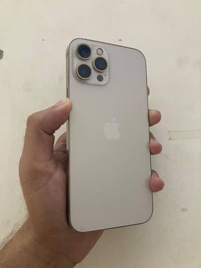 Apple iPhone 12 Pro Max