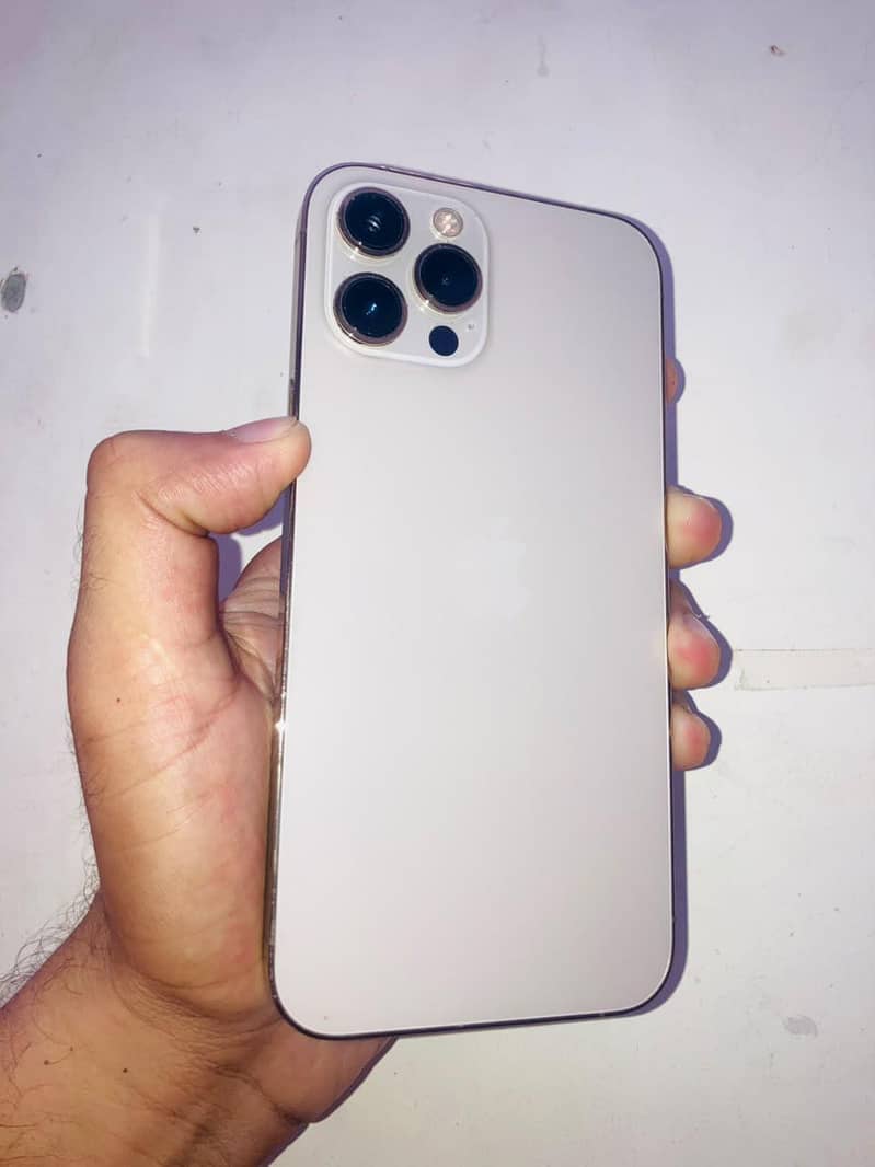 Apple iPhone 12 Pro Max 1