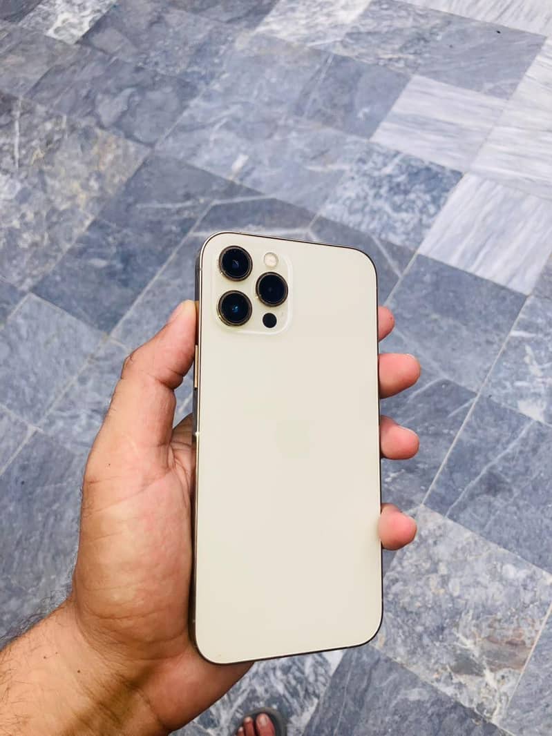 Apple iPhone 12 Pro Max 2