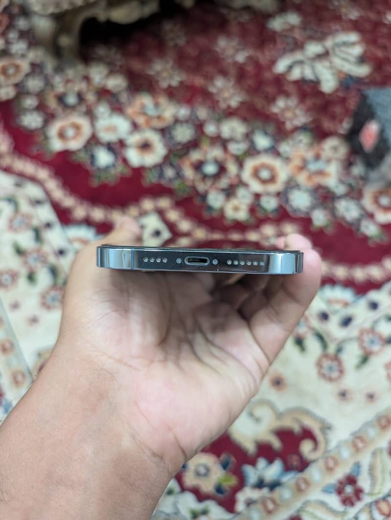 Apple iPhone 13 Pro Max 1