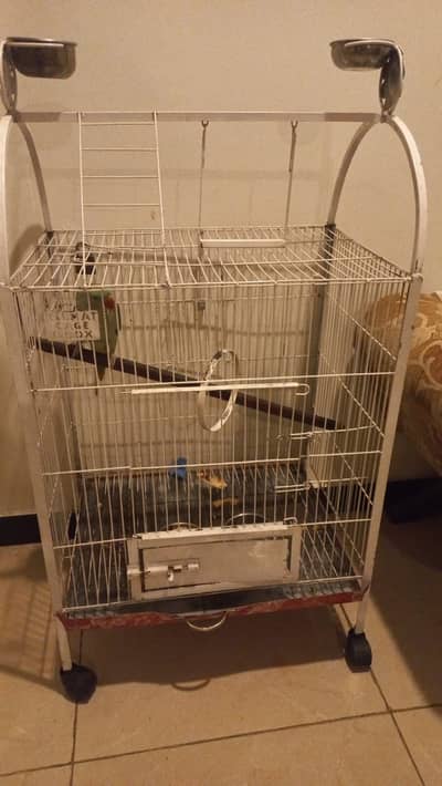 Parrot Red shoulder Alexandrian with big cage