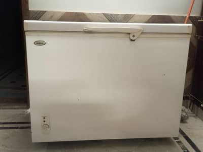 Single door Deep Freezer