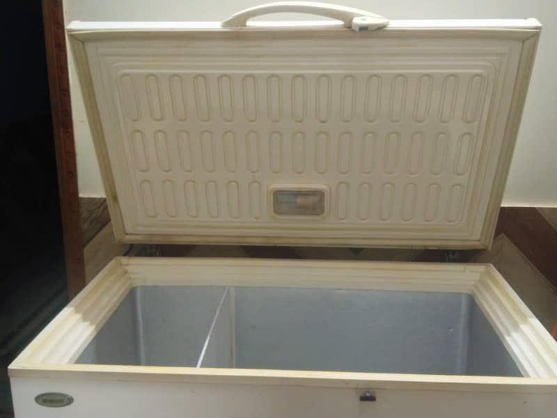 Single door Deep Freezer 2