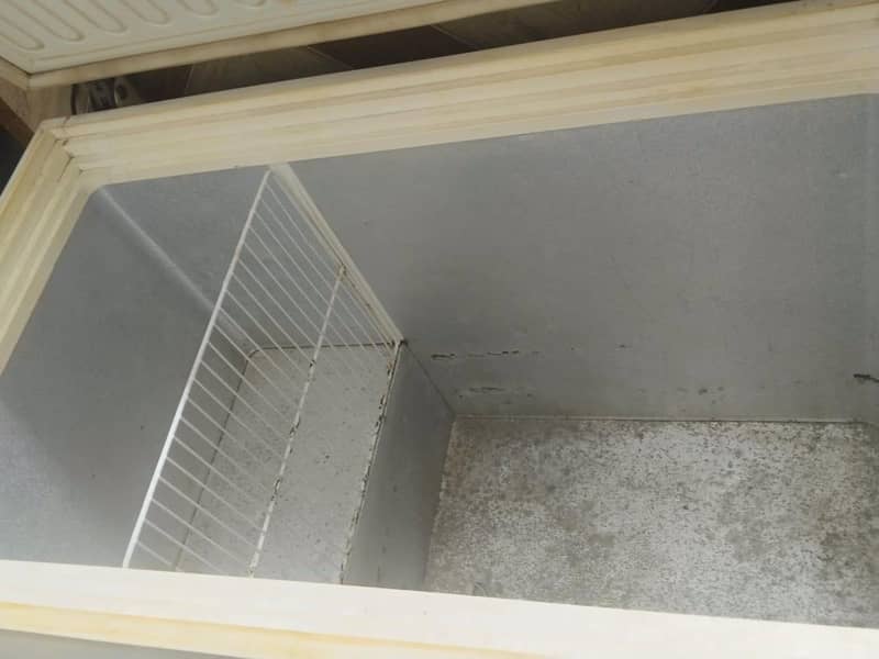 Single door Deep Freezer 3