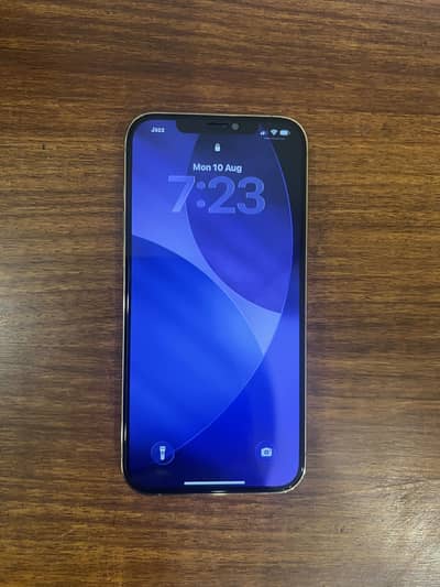 Apple iPhone 12 Pro Max