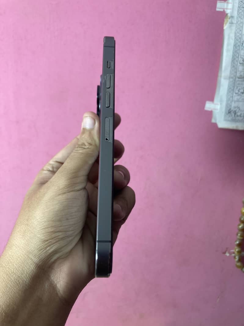 Apple iPhone 13 Pro Max 1
