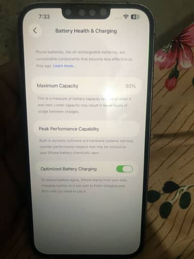 Apple iPhone 13 Pro Max