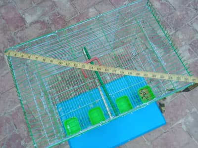 cage raw parat