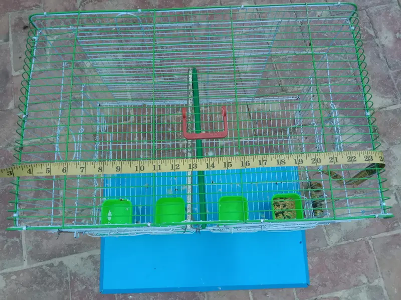 cage raw parat — photo 2