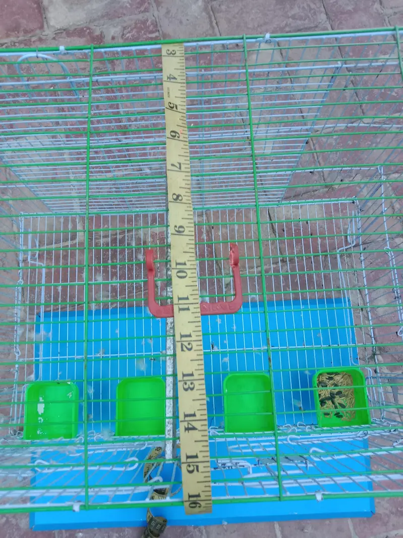 cage raw parat — photo 3