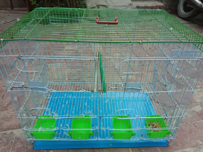 cage raw parat — photo 5