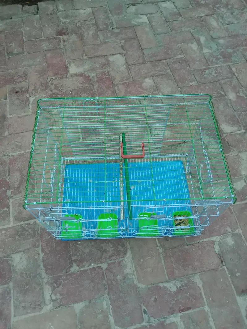cage raw parat — photo 6